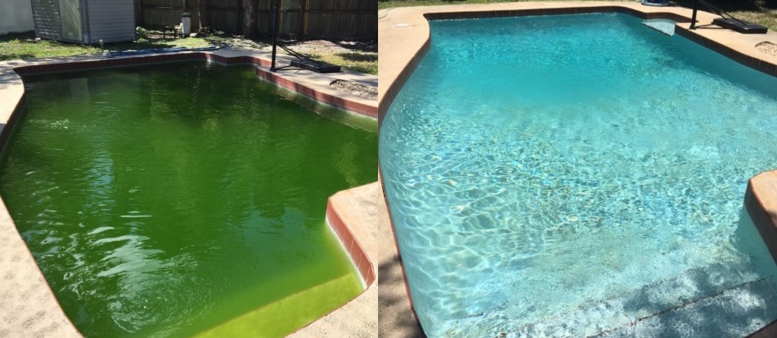 Green Algae In Pool - Heart My Pool, LLC